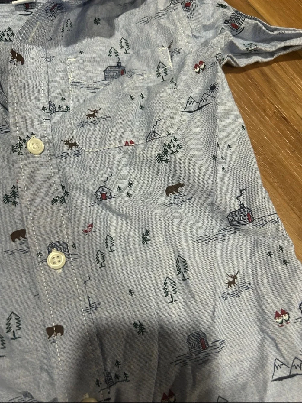 The Childrens Place Camping Causal Button Down Size 4T